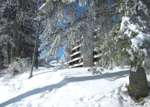 Bild 1 - Gemütliches 1-Zi. Apartment in Schönwald Schwarzwald