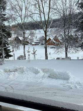 1736347603370 - 1 Zimmer Etagenwohnung zum Kaufen in Schönwald