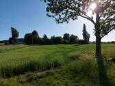 Grüne Lage... - 