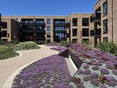 Innenhof - 