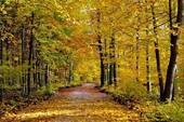 ...und gleichzeitig Naturnah! - 