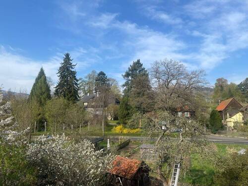 Ausblick vom Balkon - 