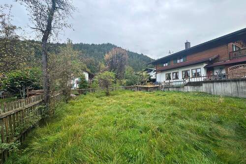 Blick in den Garten - 