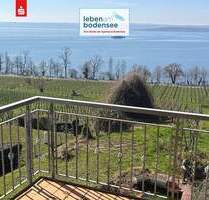 Einmalige Lage - 180° See- und Bergsicht 2,5 Zimmerwohnung - vis à vis der Insel Mainau - Meersburg