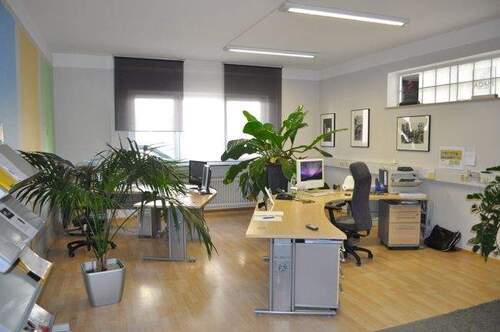 Büro - 7 Zimmer Mehrfamilienhaus, Wohnhaus zum Kaufen in Hainburg