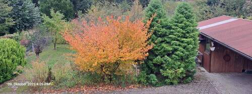 Blick aus Dachgeschossfenster - 