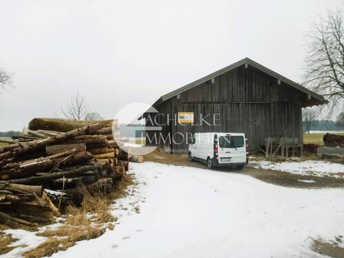 477.Halle.Feldrand - 