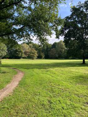 Der Park in der Nähe - 