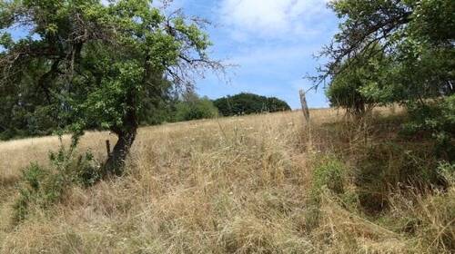 Blick auf die bebaubare Grundstücksfläche 2 - Baugrundstück in Hanglage von Rothenbuch PROVISIONSFREI