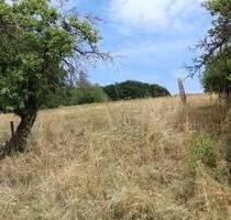 Baugrundstück in Hanglage von Rothenbuch PROVISIONSFREI