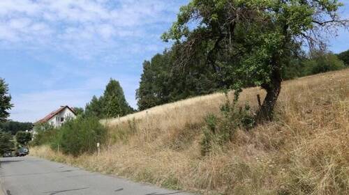 Blick auf die bebaubare Grundstücksfläche 1 - Grundstück zum Kaufen in Rothenbuch