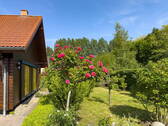 Blick in den Garten - Einfamilienhaus mit 130,00 m² in Glowe zum Kaufen
