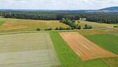 Idyllische Umgebung - 
