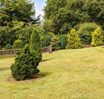 Sonniges Baugrundstück mit Weitblick über Gummersbach-Dieringhausen