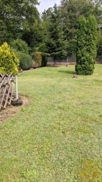 700429d3-1f4d-4eac-916a-3976b7c8f1f5 - 