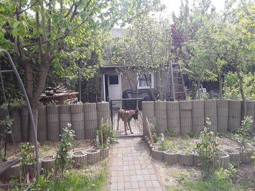 Bild 23 - 