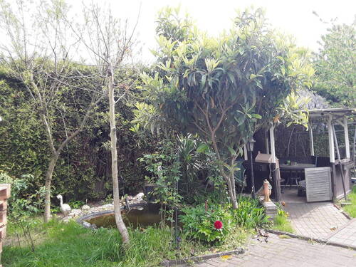 Bild 8 - 