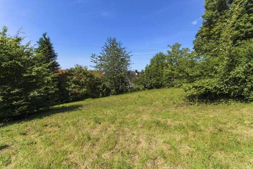 Grundstück - Grundstück in Tecklenburg