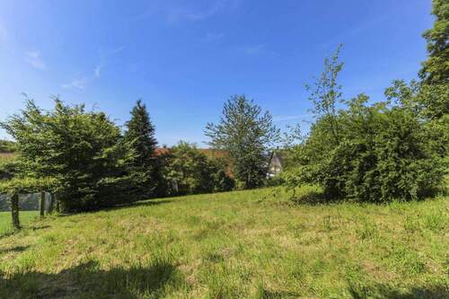 Grundstück - Grundstück in Tecklenburg zum Kaufen