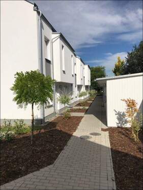 Bild 2 - 5 Zimmer Reihenmittelhaus zur Miete in Greifswald