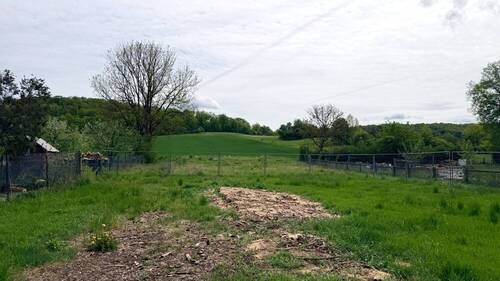 Ausblick vom Garten - 