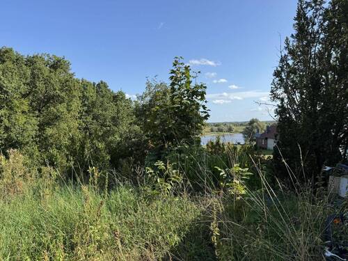 Gartenansicht Richtung Elbe - 