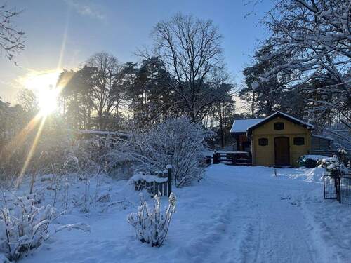 Gartenblick im Winter - 