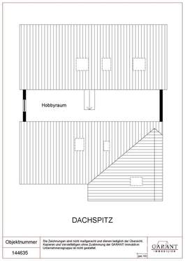 Dachspitz - 