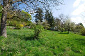 Bild6 - 