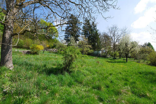 Bild6 - 