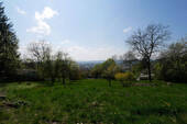 Bild7 - 