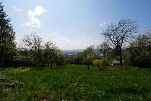 Bild7 - 