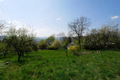 Bild8 - 