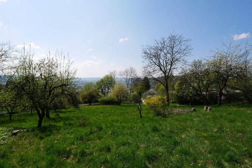 Bild8 - 