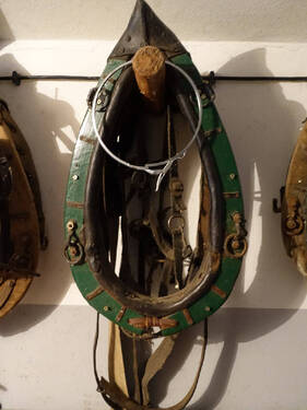 Bild17 - 