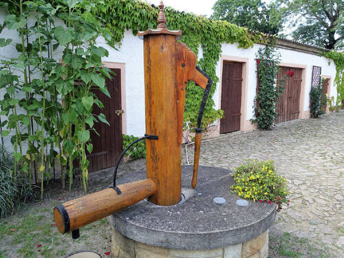 Bild6 - 