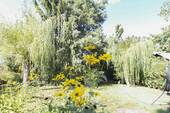 12. Garten - 