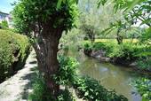 DSC_8862.JPG - 