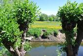 Bachlauf - 