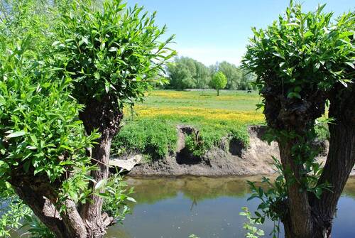 Bachlauf - 