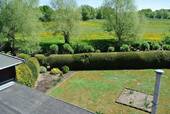 Blick in den Garten - 