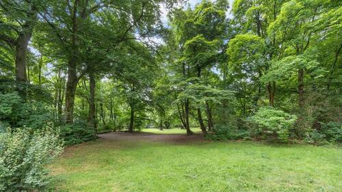 Englischer Garten, ganz in der Nähe - 