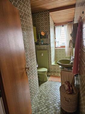 Gäste WC mit Dusche - 