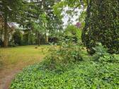 Garten - 8 Zimmer Einfamilienhaus in Berlin
