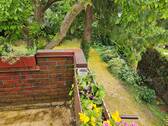 Blick v. Balkon in den Garten - 