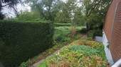 die Grünfläche seitlich vom Haus - 
