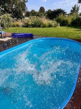 Sommer-Impression - 