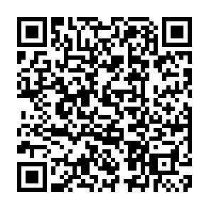 QR-Code - 