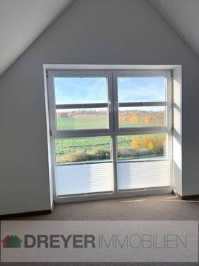 Dachboden, Blick zur Weide - 