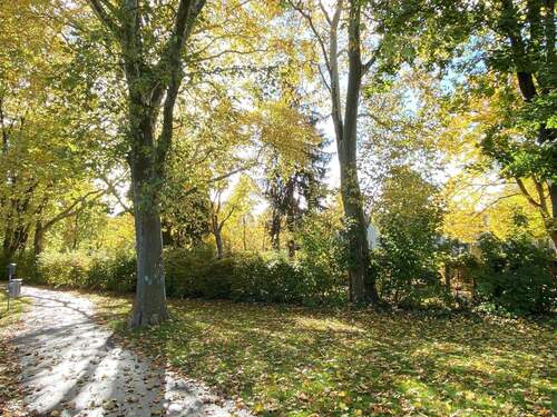 in der nahen Parkanlage - 